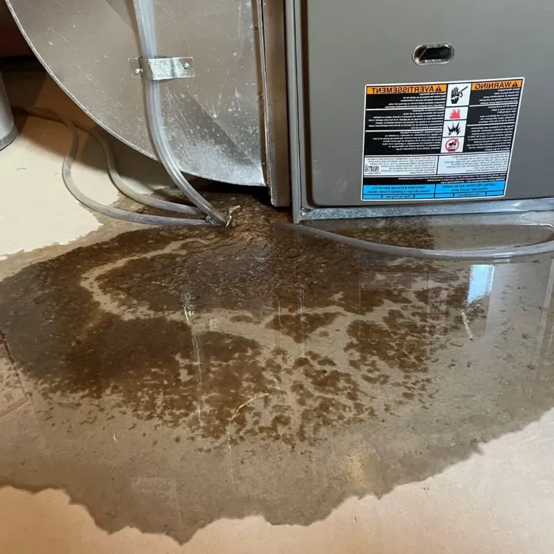 Pipe Burst and Leak Restoration in Nicoma Park, OK